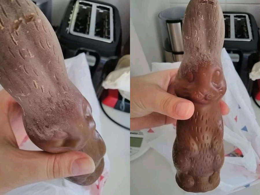 Una vecina de La Plata compró un conejo de chocolate y le vino con hongos: ”El olor es espantoso”