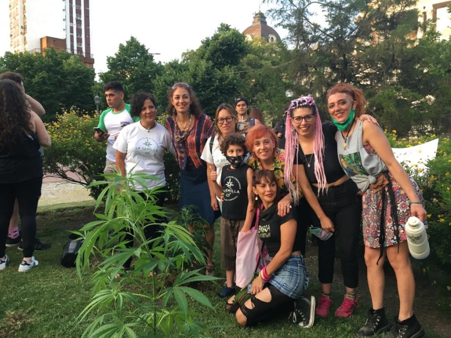 La Plata, única ciudad del país donde sobrevive el ”plantón cannábico” y en pleno centro