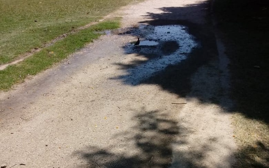 Vecinos de Parque Castelli denuncian una pérdida de agua en plena senda peatonal
