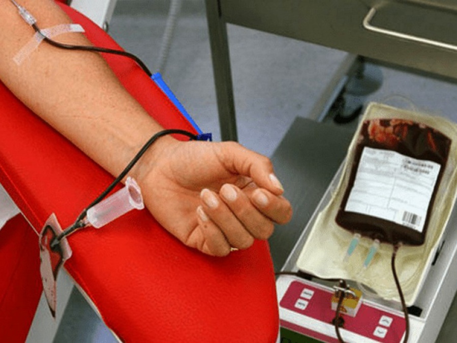 Gran campaña de donación de sangre en La Plata: estos son los puntos donde se puede donar