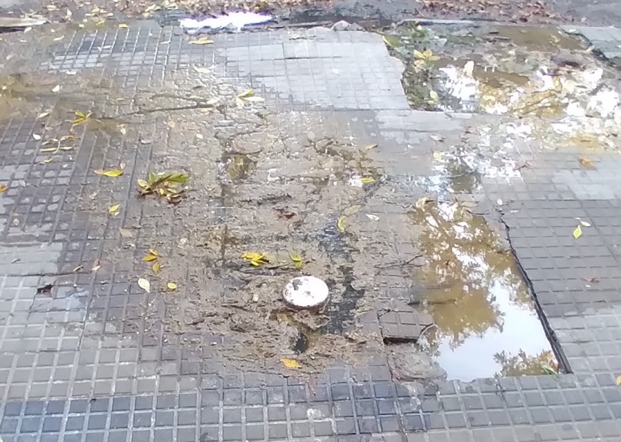 Una cloaca desbordada en 11 y 42 tiene mal a los vecinos: ”El desagüe está desbordado”