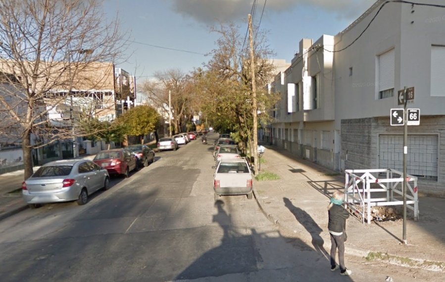 Denuncian que un hombre sacó de su vereda a un perro “a piedrazos” en La Plata