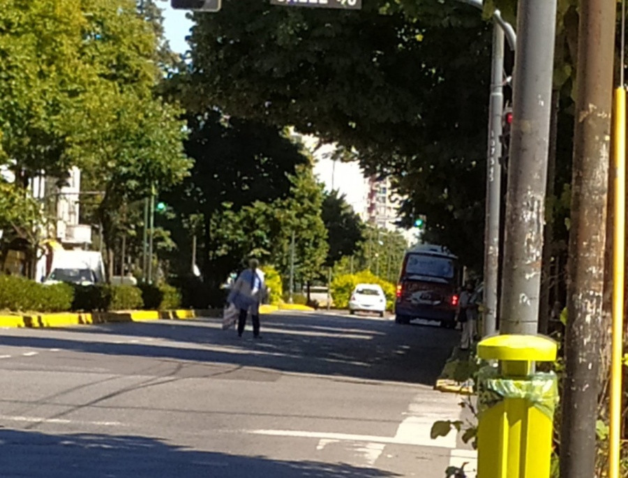 ”Viva Cristina, viva Máximo”: Reapareció el hombre que grita en el medio de la avenida 7 de La Plata