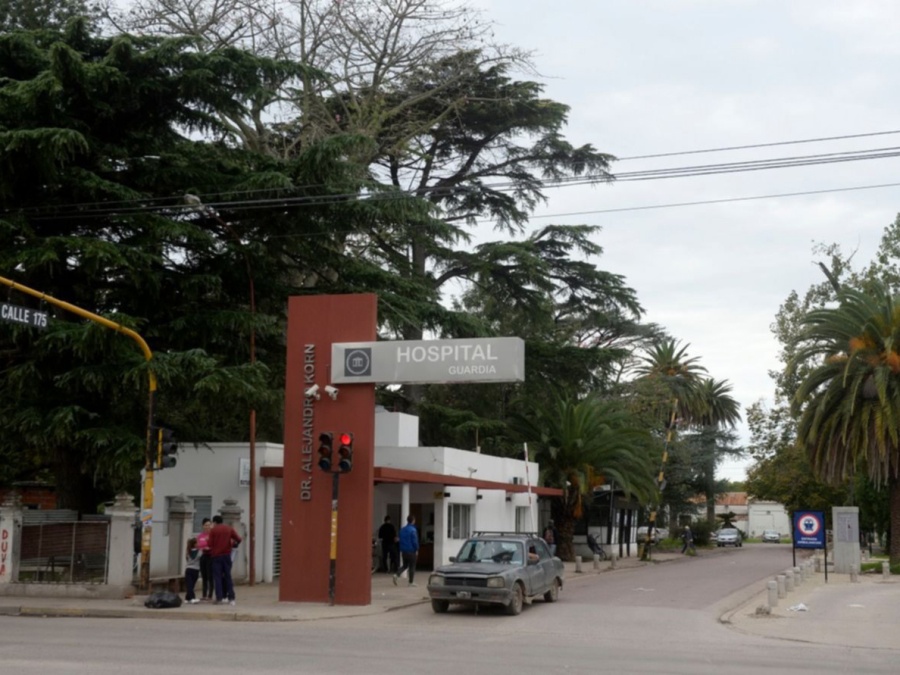Un nene de dos años murió en La Plata, tras caerse de cabeza al asfalto