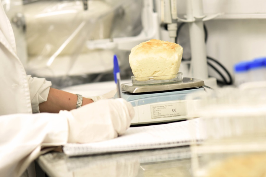 La UNLP y el Hospital de Niños desarrollan alimentos saludables para combatir el hambre infantil