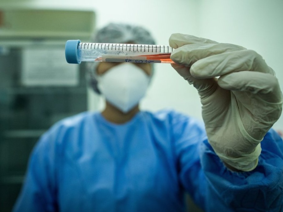 Por primera vez, detectaron las variantes de COVID-19 de la India y Sudáfrica en el país