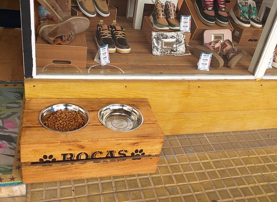 El gesto solidario de un local de La Plata con los animales de la calle