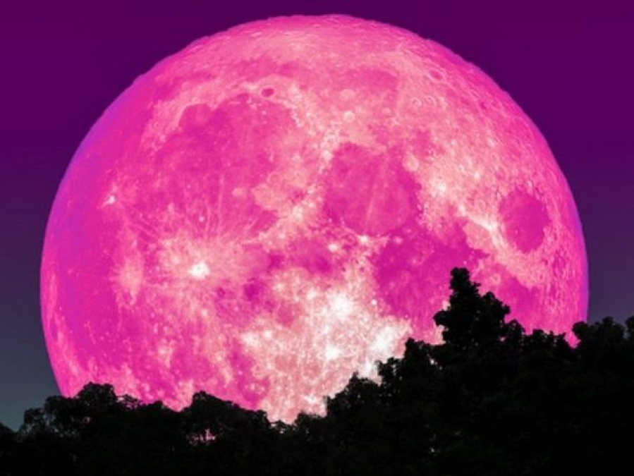 Este martes, ”Superluna rosa”: ¿Cuándo verla y cómo influye en los signos del zodíaco?