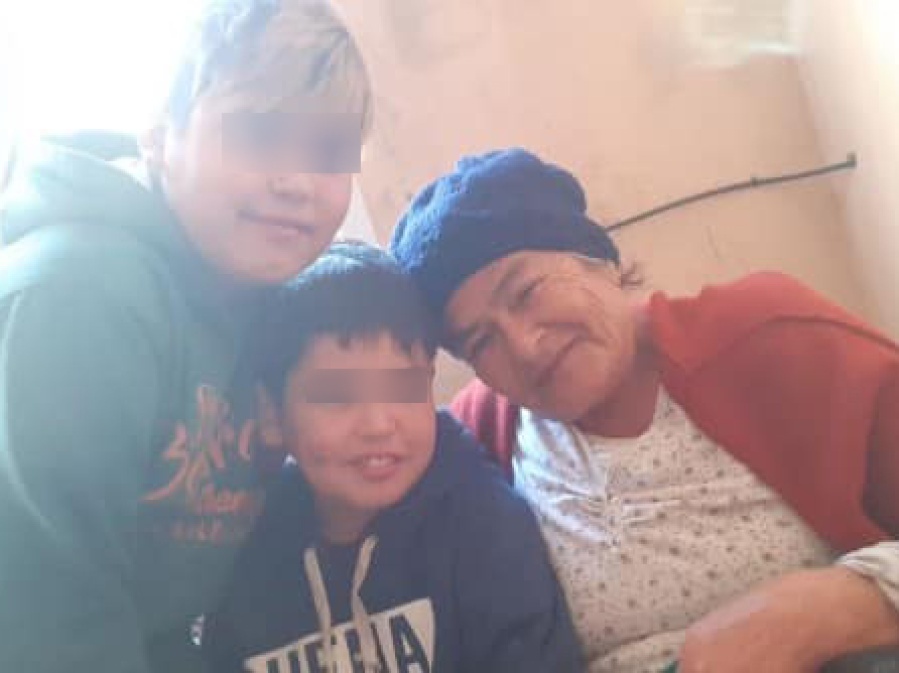 Un nene de 12 años fue atacado por dos pitbulls en La Plata y los dueños no quieren hacerse cargo: ”Estuve internado 8 días”