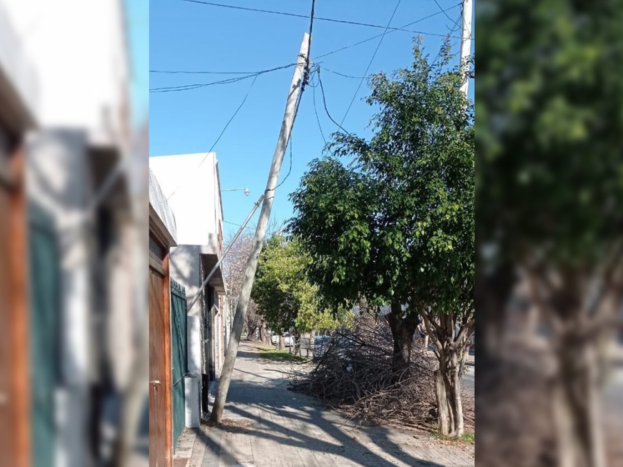 Vecinos de 61 y 27 denuncian que una poda clandestina provocó daños