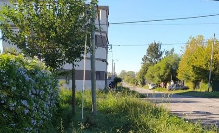 ”Nadie corta el pasto y se llena de mosquitos, así no se puede”: El enojo de los vecinos de Hernández