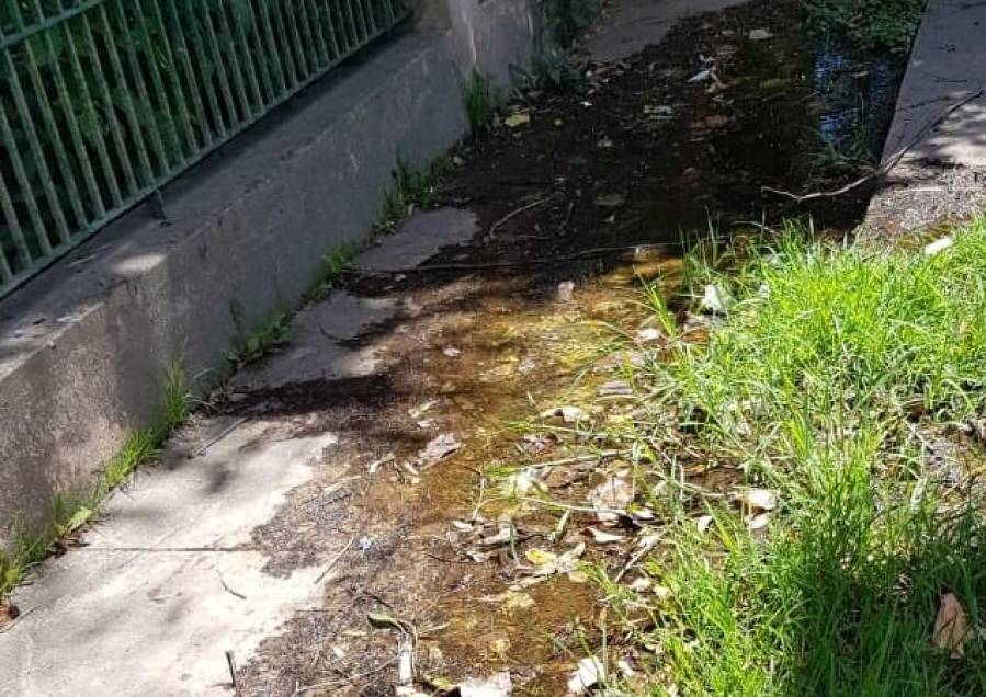Vecinos de City Bell sufren una pérdida de agua desde hace 3 meses