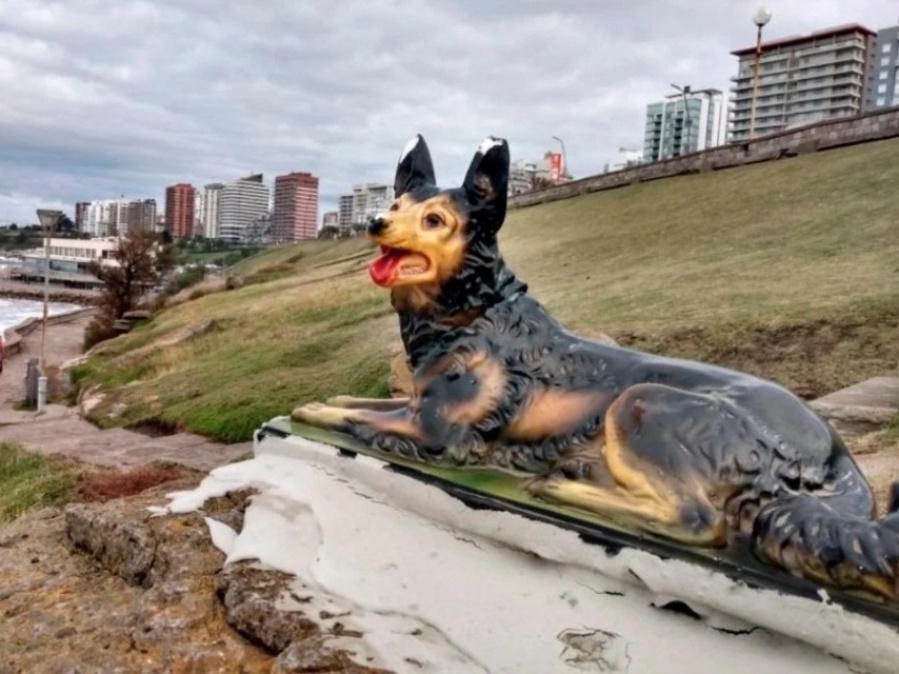 Tras la ”Mujer mirando al mar”, nueva estatua en Mar del Plata: ”El perro” de Playa Chica