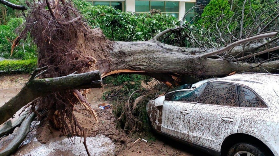VIDEO: una tromba marina sacudió Pinamar, dejó grandes destrozos y a media ciudad sin luz