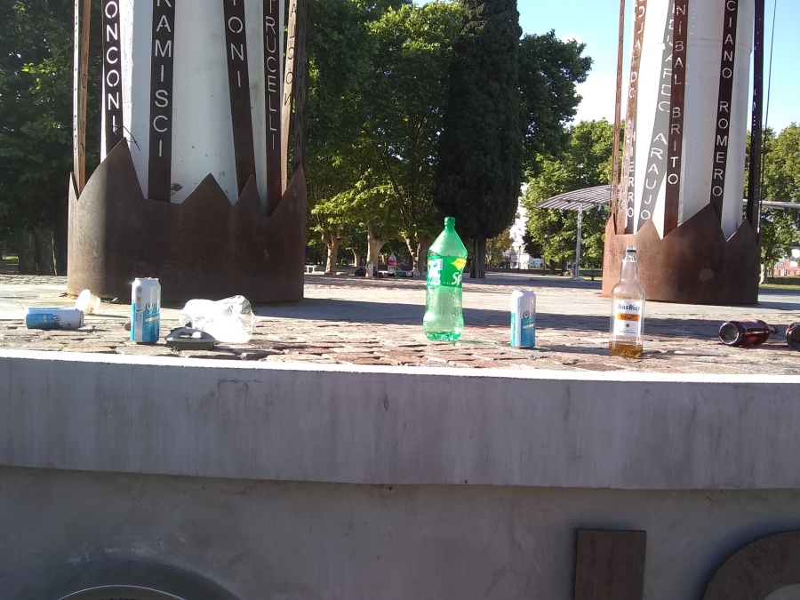 Un grupo de platenses tomaron la Plaza Malvinas para hacer una fiesta clandestina frente a todos