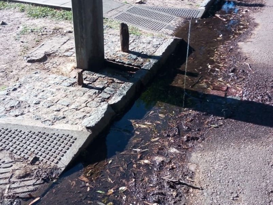 Malestar en los vecinos por la pérdida de agua de un bebedero en el bosque de La Plata