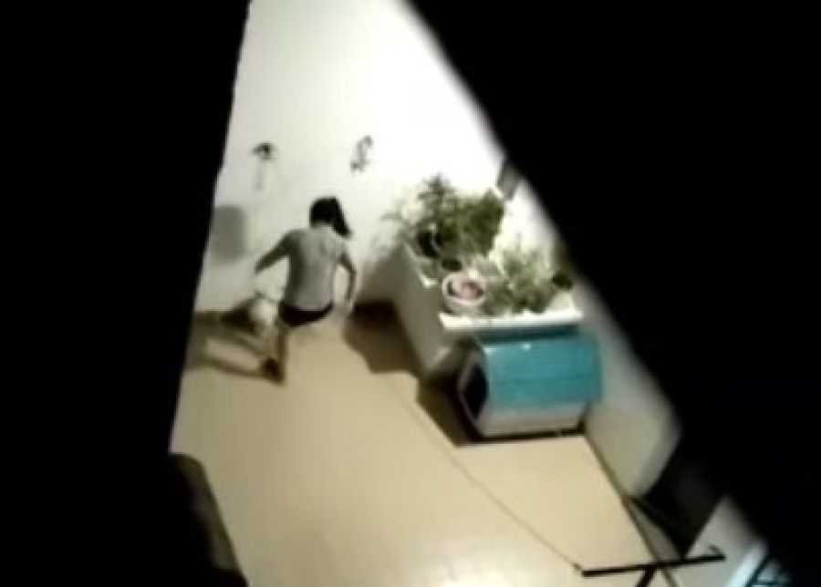 Denuncian maltrato animal en un domicilio platense