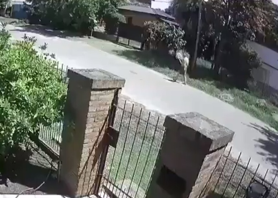 Amenazaba de muerte a sus vecinos en City Bell y lo detuvieron