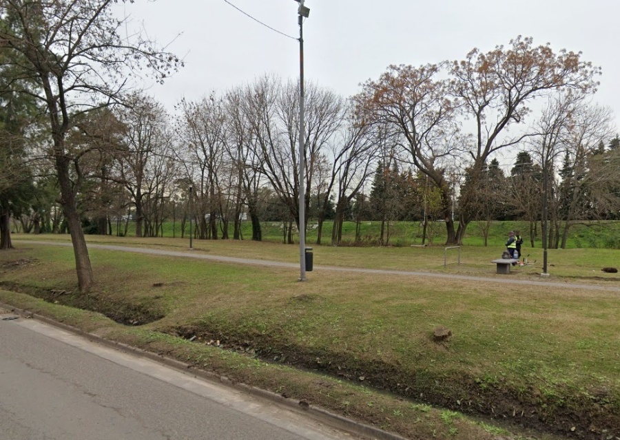 Vecinos denuncian que en el Parque Boveri de Gonnet cortaron ”muchos arboles recién plantados”