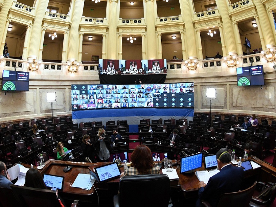 El Senado debate el proyecto sobre medidas para combatir la pandemia