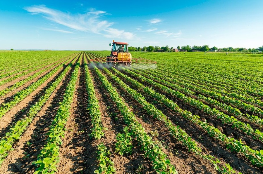 Se cosecharon 4,1 millones de toneladas de cebada, 17% más que en el ciclo anterior