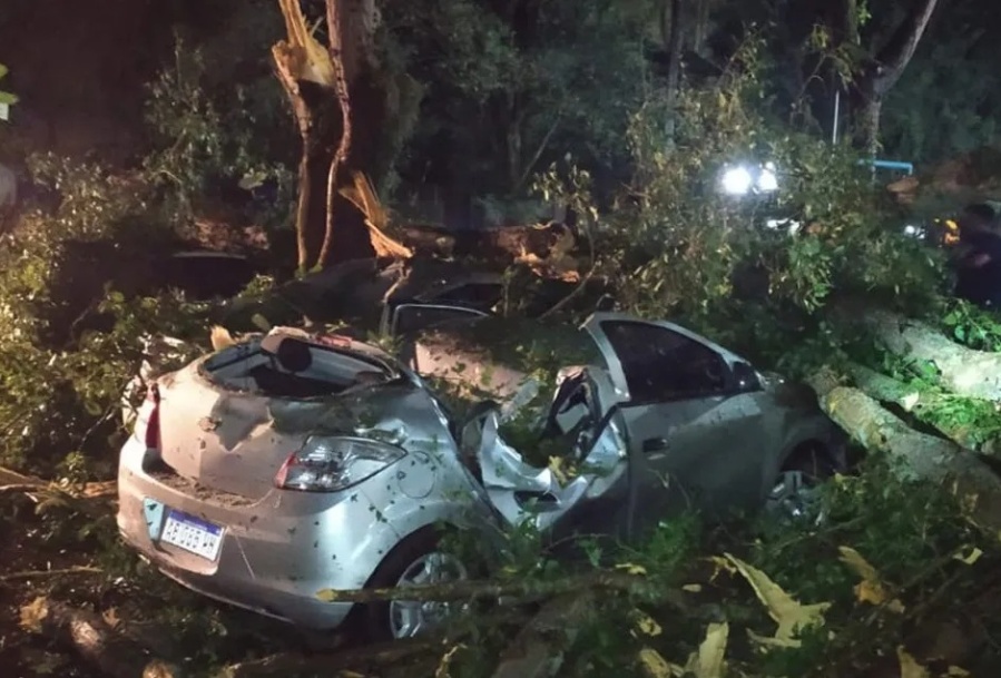 Fuerte temporal en Jujuy provocó caída de árboles, autos destruidos y daños en casas