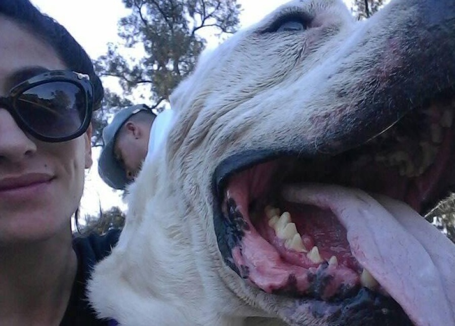 Junto a su mamá rescata perros en La Plata, se quedó sin empleo y una de ellas padece una enfermedad terminal: ”No doy más”