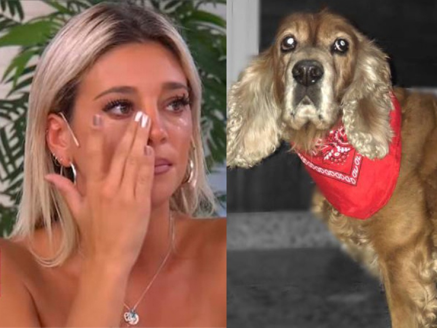 El dolor de Sol Pérez al despedir a su mascota de la infancia: ”Te voy a extrañar viejito”