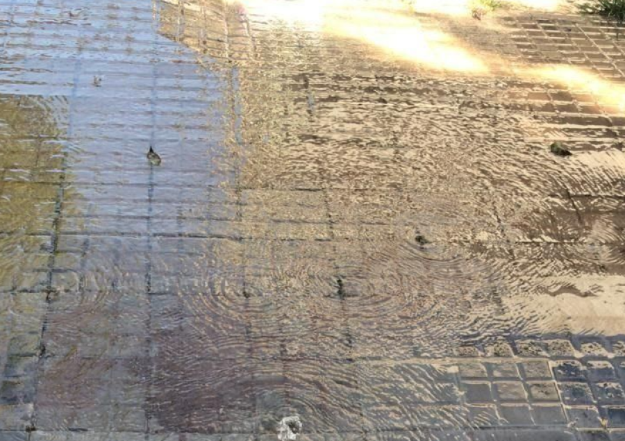 Vecinos de la zona de 57 y 20 denuncian una constante pérdida de agua en la vereda