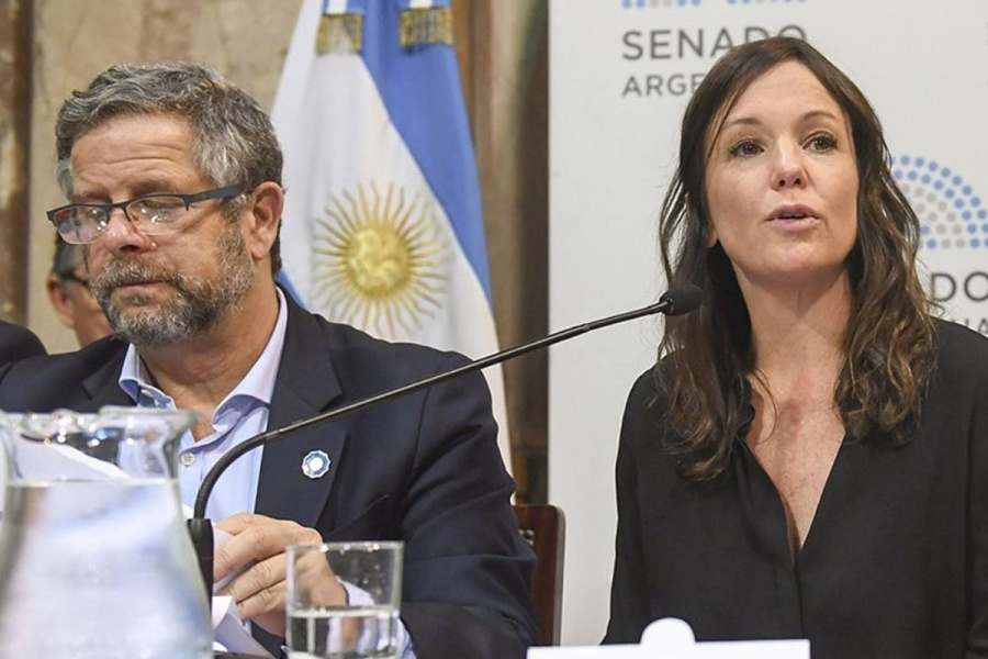 Vizzotti pidió denunciar a Marcos Peña, Stanley y Rubinstein por pagos irregulares a un proveedor de anticonceptivos