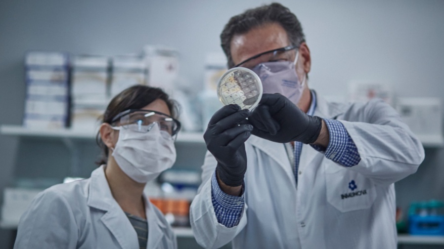 El mundo destaca al suero equino desarrollado en Argentina contra el COVID-19