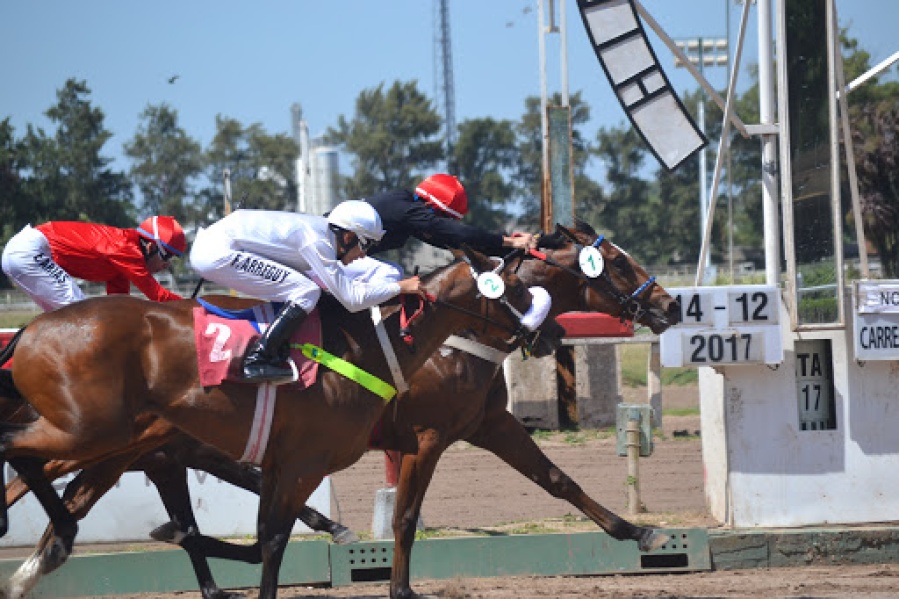 Juntan firmas para cerrar el Hipódromo de La Plata y se desató la polémica: ”Modernicemos la ciudad”