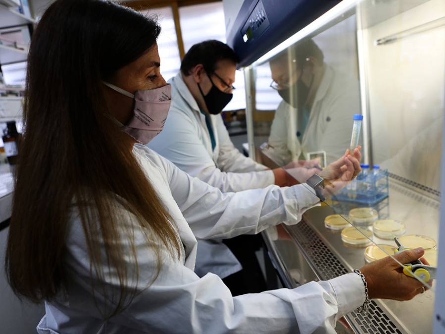 Investigadores de la UNLP lograron transformar desechos de la industria quesera en productos de valor