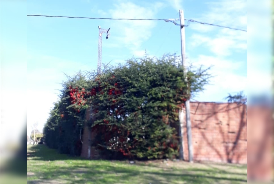 Vecinos de Los Hornos reclaman estar incomunicados desde hace 3 meses por el robo de cables de telefonía