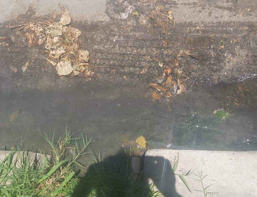 Un hombre de 37 y 118 ”descarga” excrementos a sus vecinos cada vez que usa el baño pero no lo reconoce