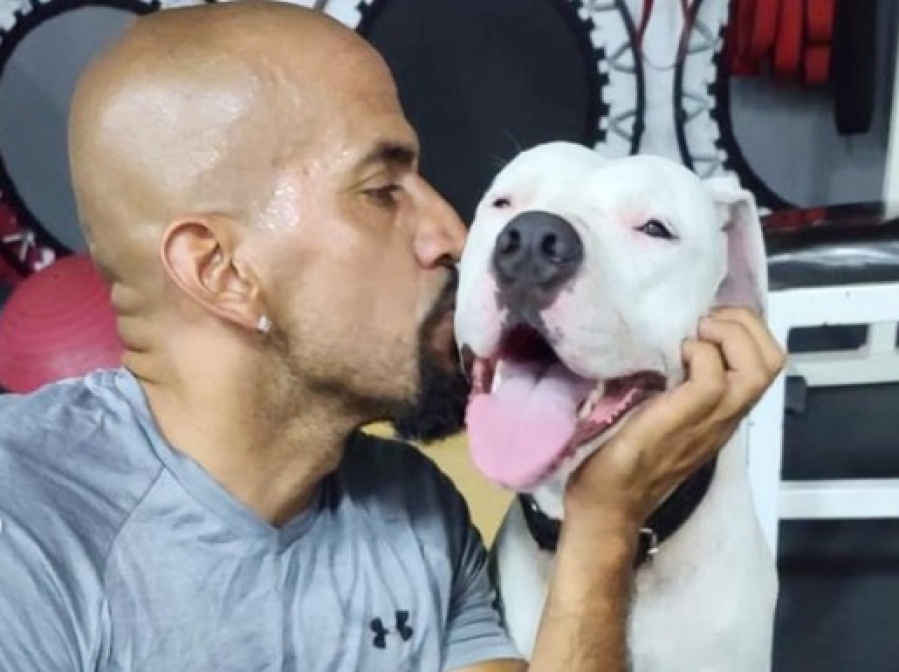 El antes y el después del perro al que la Brujita Verón le salvó la vida