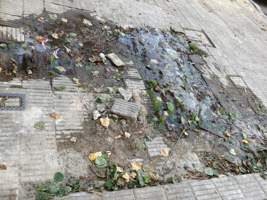 Un caño roto en plena 13 molesta a los vecinos de la zona