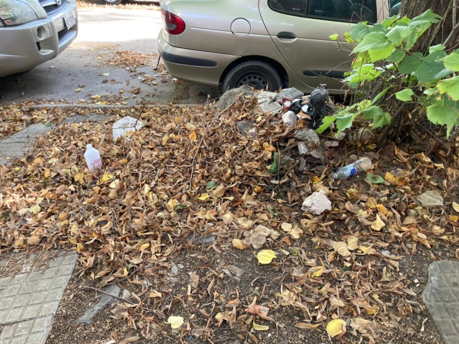 Montículo de basura y hasta un animal muerto en 11 y 38