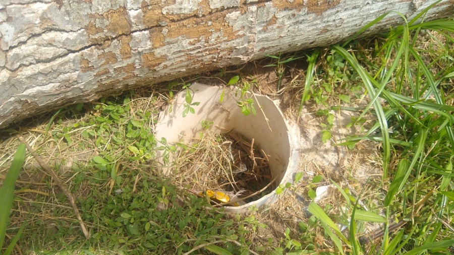 Vecinos dicen que están ”a oscuras” y que nadie escucha su reclamo en La Plata