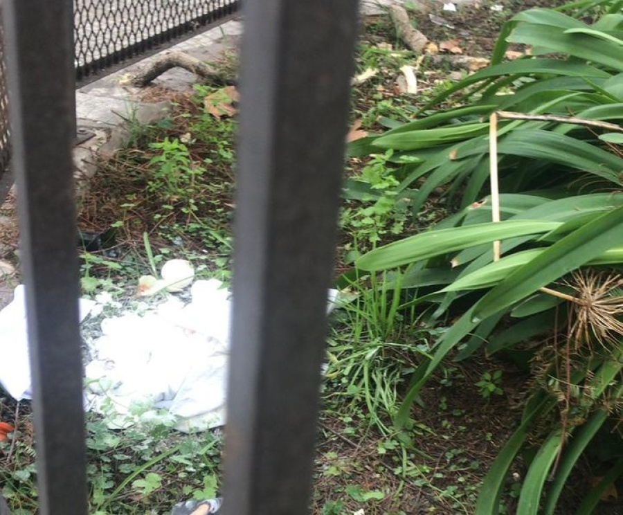 Quejas de los vecinos por la plazoleta de 8 y 43 por falta de mantenimiento