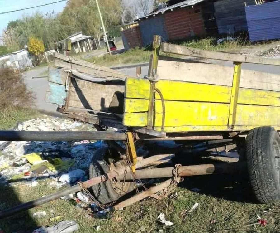 Andan en carro y buscan testigos porque un auto los chocó, los lastimó y huyó: ”Gracias a Dios estamos vivos”